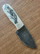 Humpback Whale Damascus Knife
