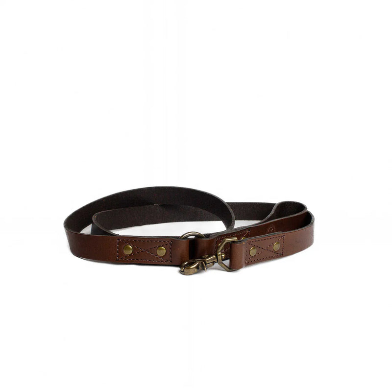 Whiskey Dog Leash
