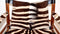 Zebra Hide Safari Safari Chair