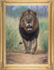 Lionheart By John Banovich