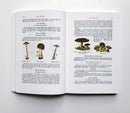 Boy Scouts Handbook