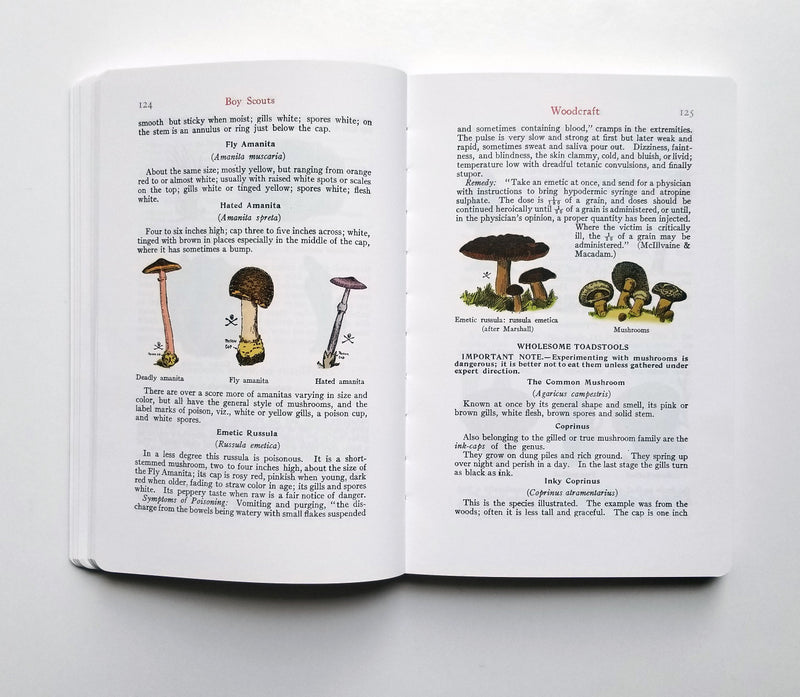 Boy Scouts Handbook