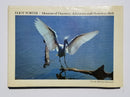 Eliot Porter: Moments of Discovery: Adventures with American Birds