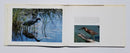 Eliot Porter: Moments of Discovery: Adventures with American Birds