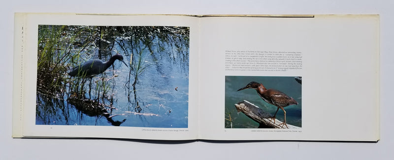 Eliot Porter: Moments of Discovery: Adventures with American Birds