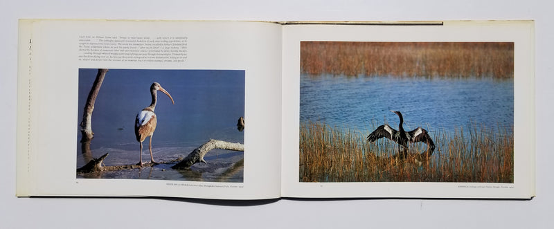 Eliot Porter: Moments of Discovery: Adventures with American Birds