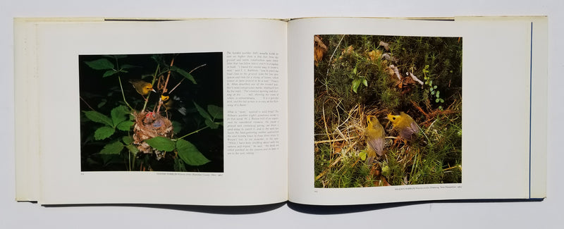 Eliot Porter: Moments of Discovery: Adventures with American Birds
