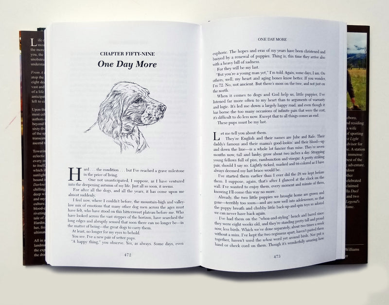 From A Higher Hill Deluxe - signed by author Mike Gaddis