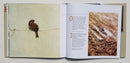 Ray Harris Ching -  Journey of an Artist