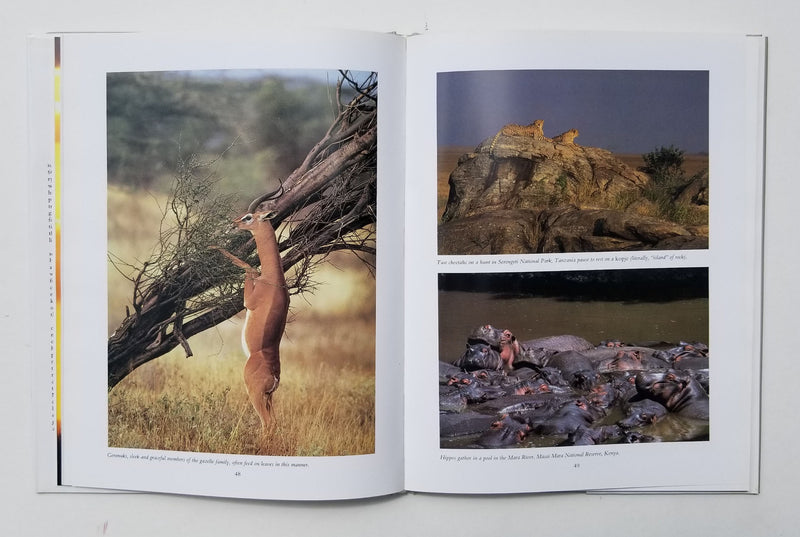 The African Elephant: The Last Days of Eden