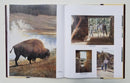 The Art of Steve Hanks: Poised Between Heartbeats