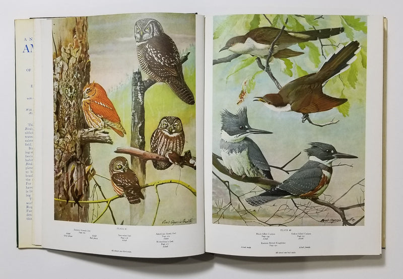 A Natural History Of American Birds Of Eastern And Central North America