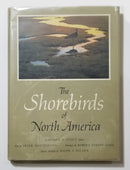 The Shorebirds of North America