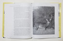 Mcelroy Hunts The Antelopes Of Africa and Antlered Game