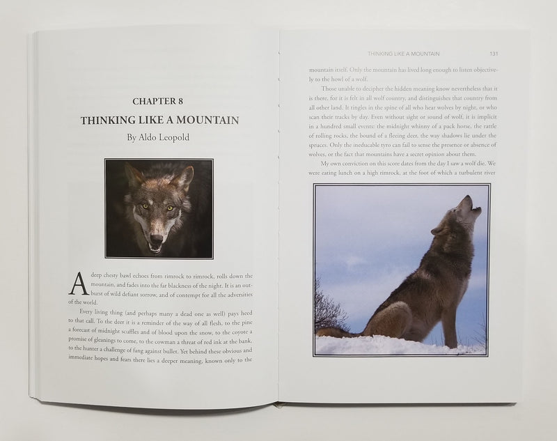 Incredible Hunting Stories: Classic Tales From the Field