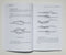 Advanced Bushcraft: An Expert Field Guide to the Art of Wilderness Survival