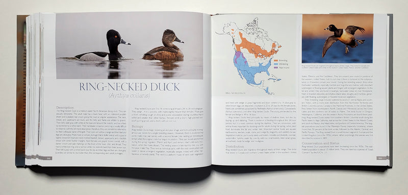 Waterfowl of the World