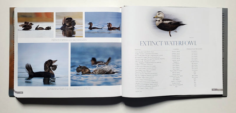 Waterfowl of the World