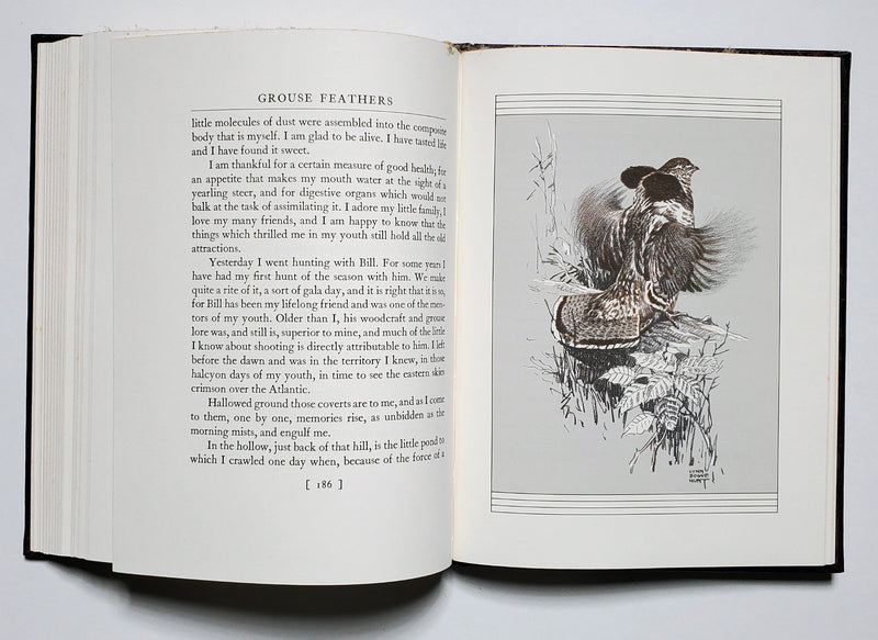 Grouse Feathers