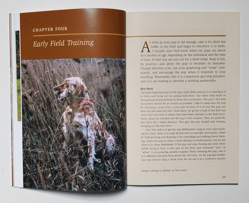 Training Your Pointing Dog for Hunting & Home