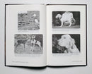 Appalachian Grouse Dog: A Boomer's Memoir