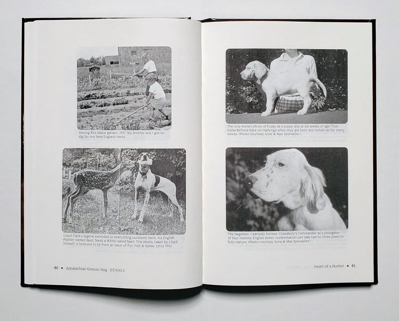 Appalachian Grouse Dog: A Boomer's Memoir