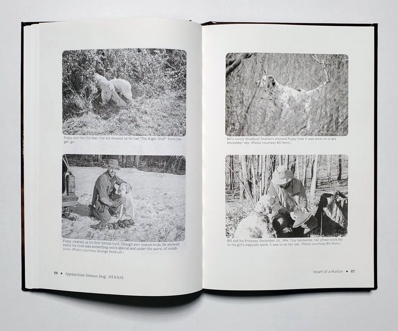 Appalachian Grouse Dog: A Boomer's Memoir