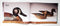 Timeless Treasures: Ward Brothers Decoys