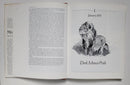 The Marsh Lions: The Story of an African Pride