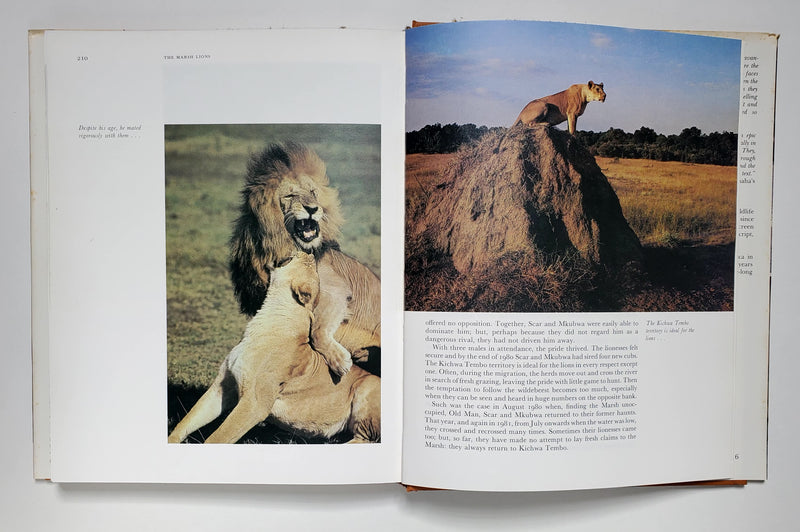 The Marsh Lions: The Story of an African Pride