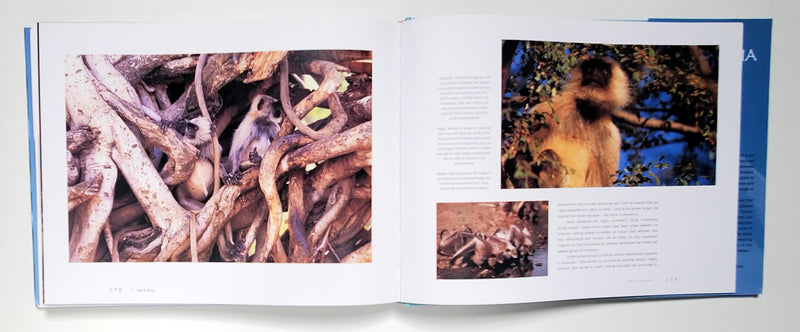 Wild Asia: Spirit of A Continent