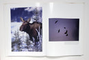Alaskan Wildlife