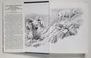 Putting Sheep on the Mountain