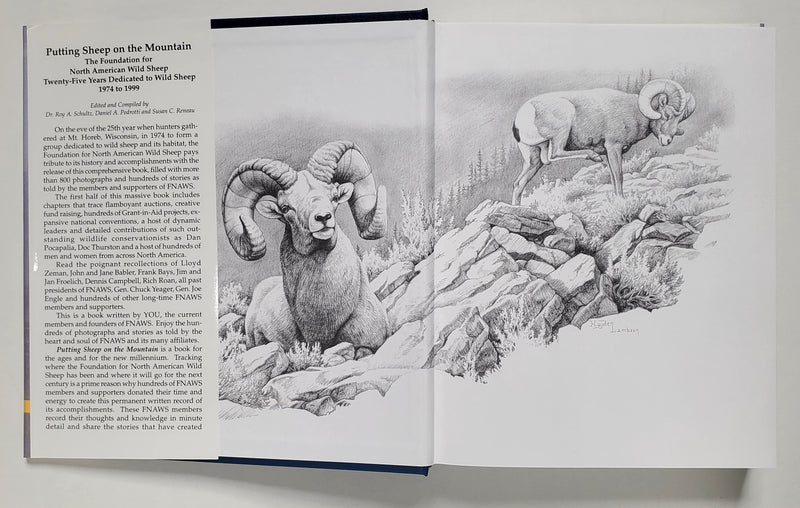 Putting Sheep on the Mountain