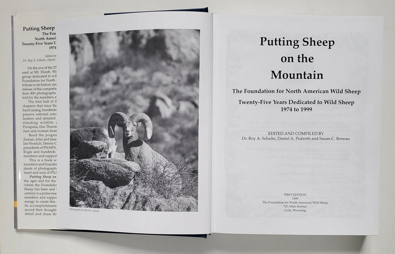 Putting Sheep on the Mountain