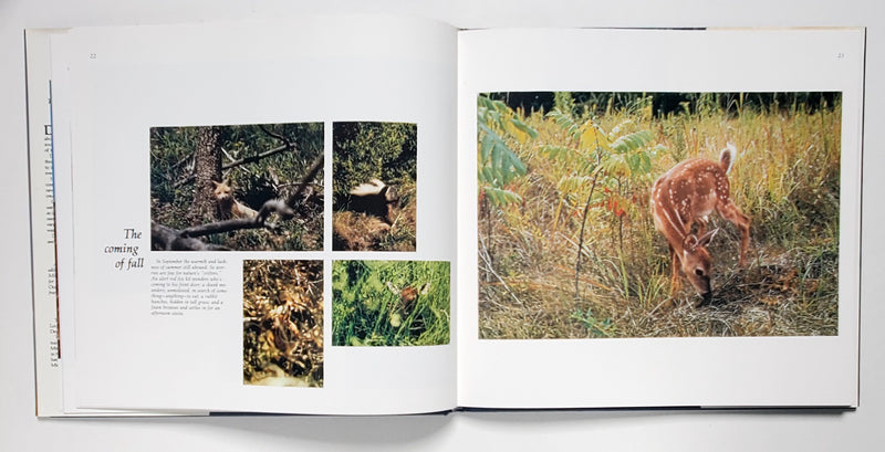 Eye of the Eagle: The Outdoor Photography of Don Wooldridge