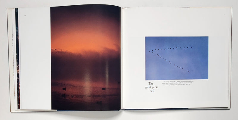 Eye of the Eagle: The Outdoor Photography of Don Wooldridge