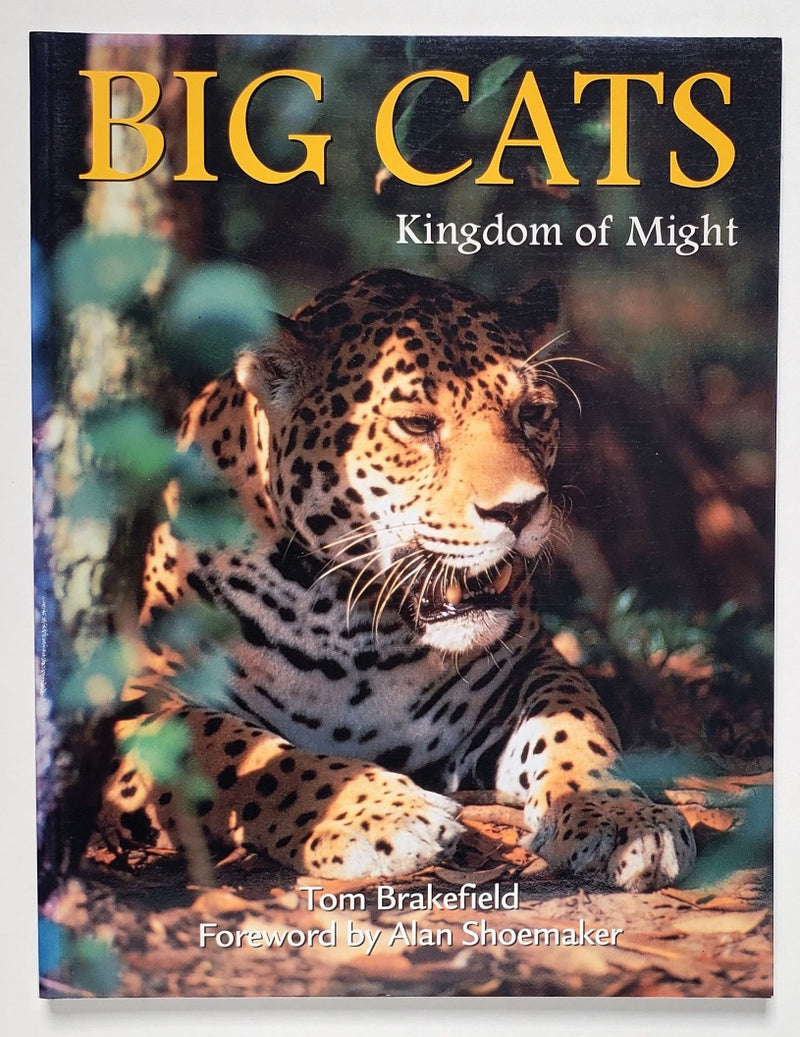 Big Cats: Kingdom of Might