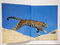 Big Cats: Kingdom of Might