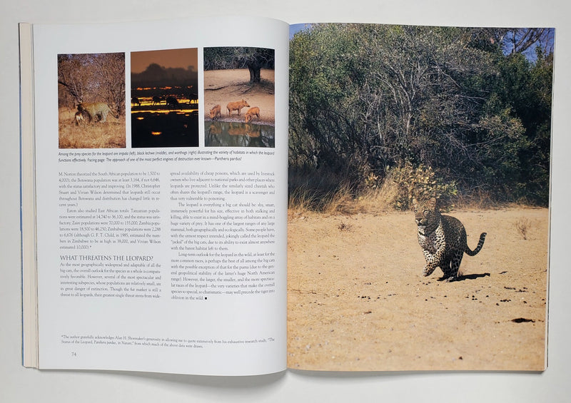 Big Cats: Kingdom of Might