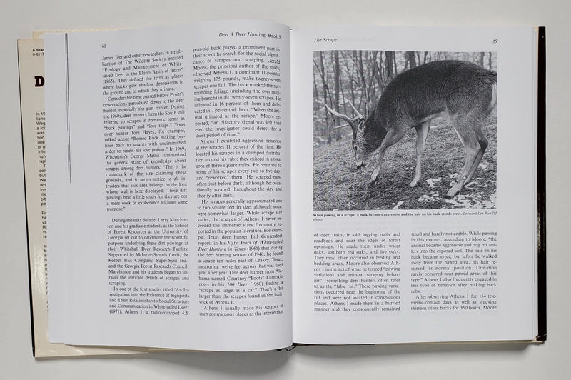 Deer & Deer Hunting: Book 3