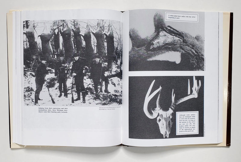 Deer & Deer Hunting: Book 3