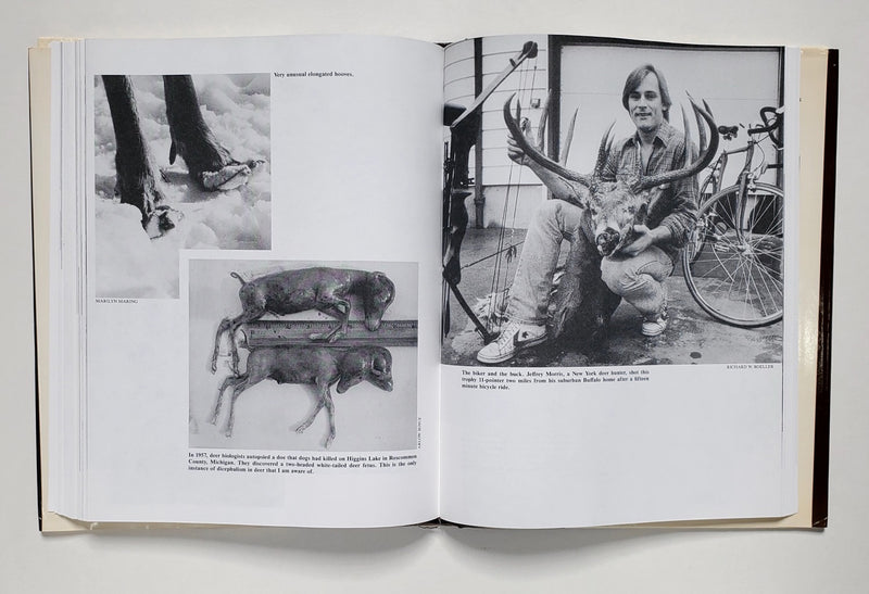 Deer & Deer Hunting: Book 3