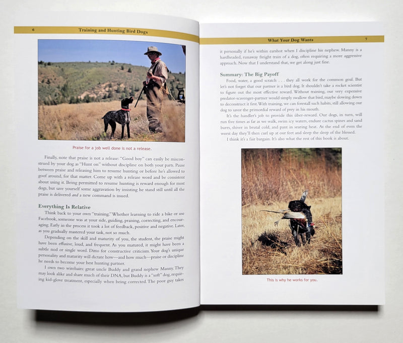 Training and Hunting Bird Dogs: How to Become a Better Hunter and Dog Owner