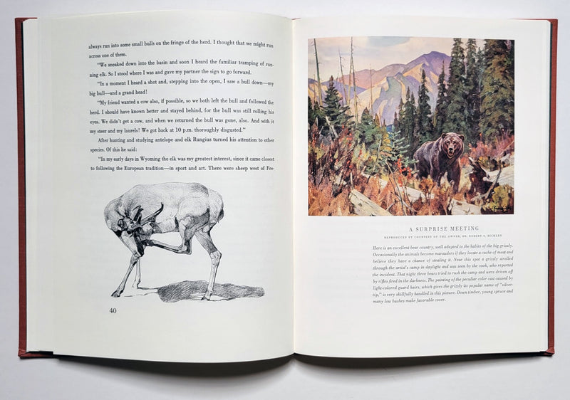 Carl Rungius: Big Game Painter 1993