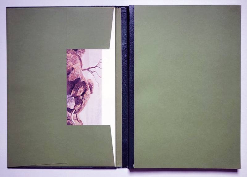 Classic African Animals: The Big 5, 1973 First Edition
