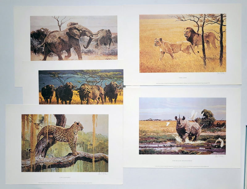 Classic African Animals: The Big 5, 1973 First Edition