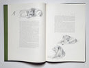 Classic African Animals: The Big 5, 1973 First Edition