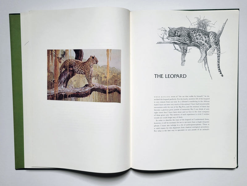 Classic African Animals: The Big 5, 1973 First Edition