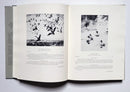 Frank W. Benson's Etchings, Drypoints and Lithographs